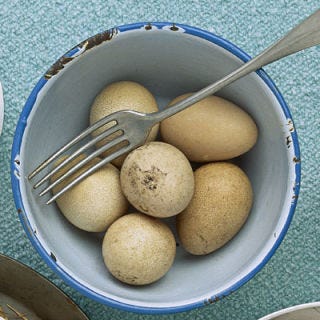 Guinea Fowl Eggs