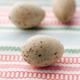 Gull Eggs