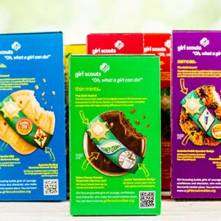 You know, who doesn't like Girl Scout Cookies? To steal from a group of little ones, though, that is just beyond comprehension! In Feburary of 2013 Carey Moving & Storage in South Carolina were targeted in a series of Girl Scout thefts over a period of two weeks that left them with 450 cases less cookies, including Thin Mints and Shortbreads that were worth $18,900. Cookies were said to have been noticed missing after the initial delivery to the troops pre-distribution.