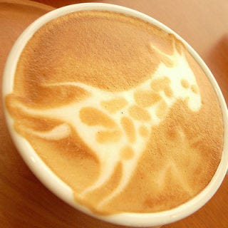 <p>Between the caffeine and this overjoyed giraffe, your morning will be up and running in no time.</p>