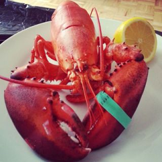 <p>New Years might seem like the time to indulge, but lobster shouldn't be the star of your menu. Their backwards swimming portends possible setbacks in the coming year.</p>