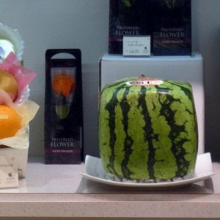 <p>This really is a watermelon — just one that's been grown into a very convenient cube shape. Space in large Japanese cities is extremely limited, so watermelon growers there came up with an innovative way to ensure that lovers of the sweet melon could find a way to fit the usually large, oblong fruit into their small refrigerators, by forcing it to grow into the shape of a more compact, easier-to-stack cube. Originally <a href="http://news.bbc.co.uk/2/hi/1390088.stm" target="_blank">conceived by an enterprising farmer</a> on Japan's Shikoku island, the watermelons are simply started in glass boxes, confining the fruit to that space as it grows and forcing it (naturally) to form into the cube shape.</p>