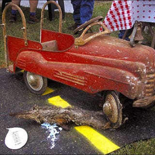 While the food at this festival, which takes place the last Saturday of September in Marlinton, West Virginia, doesn't actually involve real roadkill, the dishes are prepared with the kinds of animals that often meet their end in traffic accidents. Specialties have included "South-of-the-Border Mishap" — tacos filled with armadillo, roadrunner, and the mysteriously dubbed "hitchhiker."
