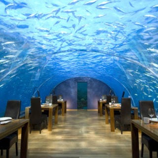 <p><b>Restaurant:</b> <a href="http://www.hiltonworldresorts.com/Resorts/Maldives/dining_entertainment/ithaa.html#Maldives+index+ithaa++Phuket" target="_blank">Ithaa Undersea Restaurant</a>, Rangali Island, Maldives</p>
<p><b>Culinary Concept:</b> Fish-eye view. Ever dine on octopus and oysters surrounded by octopus and oysters? Well, you can do just that at the luxurious Ithaa restaurant beneath the Indian Ocean. Ithaa, meaning "pearl," sits between three and six feet below sea level (depending on the tides) and weighs over 200 tons, so the chef won't drift out to sea. On the menu: crustaceans and wild game.</p>