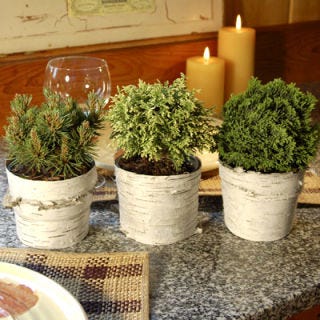 The Japanese have been creating bonsai trees for more than 2,000 years. These living works of art can be made from nearly any tree species, but require tremendous amounts of patience and care. You can create this natural look much faster by using small potted shrubs instead of miniature trees. Wrap the base of a potted clipping or small shrub with textured paper or birch bark. As your plants grow, you can clip them back, forming a sculpted look and flow to the branches, just like a bonsai, but without the wait.