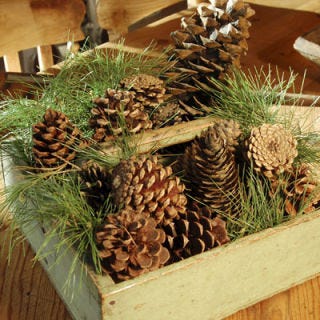 During a holiday time-crunch, this rustic centerpiece can be made in a flash. Take an old wooden box, small fruit crate, or basket and fill it with pinecones and some small pine branches. If you're lucky enough to have conifers in your backyard or local park, get the kids to gather your supplies and help arrange the centerpiece. Cones from both fir and pine trees work equally well and provide an assortment of sizes and shapes. With nicer boxes, an old cloth napkin can protect against sap and debris.