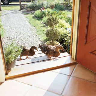 A pair of flightless pet Roen ducks, Fred and Pip, have the run of the place. "They're so droll," says Lucinda. "When I talk on the telephone, they talk too; when I garden, they want to be near me."