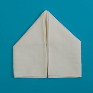Fold the right and left sides up to meet in the center, forming a point at one end.