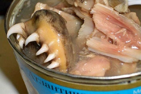 It’s hard to tell if you would eat this food, or if it would eat you! Russian herring is basically stewed fish heads with the sharp teeth intact… chew with caution.