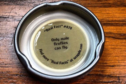 While it’s true that in some species of fireflies, the females are flightless, in other species of the same insect, female fireflies can flit around your yard just as well as the gents of their species do.