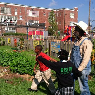 <p>New Orleans is a mecca for dining, so it should be the case that the great food carries over into the schools. Thanks to the <a href="http://www.esynola.org/" target="_blank">Edible NOLA program</a>, it does. Students don't just eat great food in the FirstLine schools where this program runs, they also plant and harvest it, learn about its history and nutrition, and sometimes even cook it. That's right: the kids are lucky enough to have kitchen classrooms on select sites, allowing them to truly get hands-on in the process. Dishes you'll find at Edible NOLA schools include sweet potato soufflé, watermelon, feta and mint salad, and Mexican chopped salad.</p>