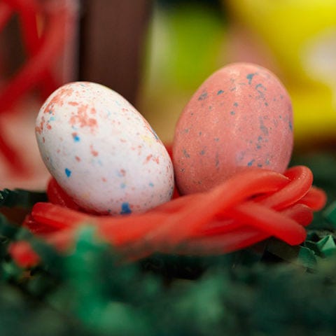 <p>The Robin Eggs are getting plenty of warmth outside in the sun, cozy in their Twizzler Pull 'n' Peel nests. Everyone at Bunny Manor is eager awaiting their hatching day.</p>