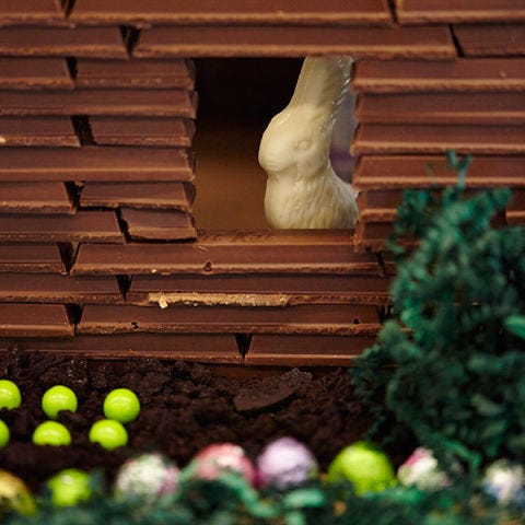 <p>One of the resident of Bunny Manor, a Niagara white chocolate bunny, surveys his growing Sixlet cabbage patch from a window in the Kit Kat log cabin. It's looks to be a good crop this year!</p>