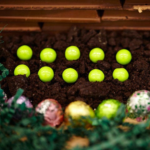 <p>Oreo dirt does wonders for a growing candy farm! Just look at those Sixlet cabbages grow! Everyone at Bunny Manor will eat well this spring.</p>