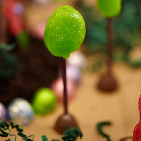 <p>The Jolly Rancher Lollipop trees on the grounds are pretty young so they don't give off much shade yet, but in a couple years the bunnies and chicks will be able to nap under their sweet shade. When they were planted, the bunnies and chicks gave them beds of rich Niagara chocolate eggs to help them grow.</p>