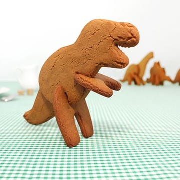 Dino Cookies