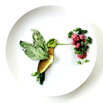 Leaf, Botany, Dishware, Flowering plant, Herb, Artificial flower, Rose, Rose family, Floral design, 