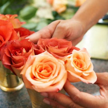 Arranging roses.