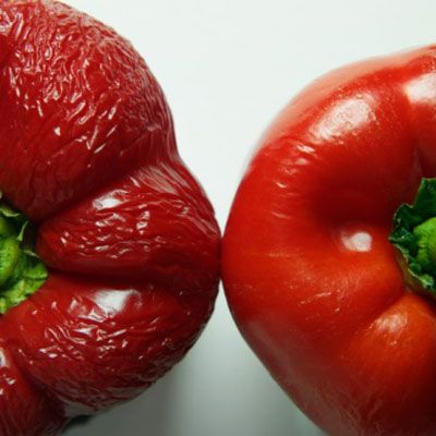 Red Peppers - Freshness Guide