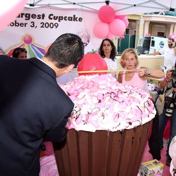 Think Pink: World's Largest Cupcake