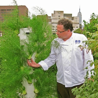 On top of its building on W. 10th Street in Manhattan, Bell Book and Candle has a beautiful green garden from which some of the ingredients used in their menus are sourced. Following in the tradition of many other farm-to-table restaurants, their menu cycles are heavily influenced by what is produced "aeroponically" on their roof-top tower garden, meaning that their plants have been growing in an "air or mist environment" as opposed to having been planted in soil. Though plants might seem out of place or not suitable to be right in the middle of a city like New York, this movement has made admirable strides in many urban centers, and most assuredly the plants (and by extension: vegetables) don't seem  out of place in the least once resting nicely on your plate with crisp pork belly and rooftop arugula and cherries, shaved fennel, and sweet onion! This is and other ridiculously good sounding dishes can be found on their extensive brunch menu. Also growing nicely on the roof while you dine is sage, chive, chervil, Genovese Basil, Opal Basil, Italian and Flat Leaf Parsley, Spearmint, Rosemary, 4 varieties of Nasturtium, Cheddar Cauliflower, Purple Tomatillo, Tomatillo, Japanese and Kermit Eggplant, 2 varieties of Arugula, 4 varieties of Cherry Tomato, Great White Tomato, Bibb Lettuce, Red Oak Leaf, Red Romaine, Green Romaine, Lola Rosa, Frisee, Green Crisp, Poblano Pepper, and Fennel. We agree that No, there isn't any room for cows, then. <a href="http://bbandcnyc.com" target="_blank">bbandcnyc.com</a> 