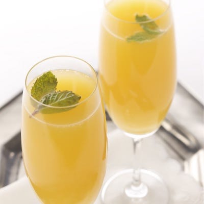 Menning Mimosa