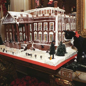 <p>Even Socks the cat was impressed by this gingerbread version of the White House that was displated in the real White House in 1993.</p>