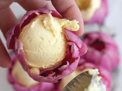 Tulip Ice Cream Bowls Recipe