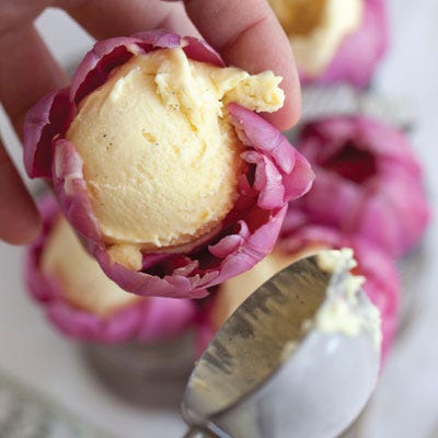 <p>"There are plenty of edible ice cream containers out there, but none so fetching as a tulip. A lovely tulip brimming with creamy ice cream is a sight to behold. I like to add a couple of fresh berries and a splash of tulip syrup." — Miche Bacher</p>
<p><strong>Recipe:</strong> <a href="../../../recipefinder/tulip-ice-cream-bowls-recipe-del0313" target="_blank"><strong>Tulip Ice Cream Bowls</strong></a></p>