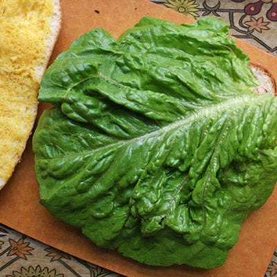 <b>Top With a Large Lettuce Leaf</b>

There are no tomatoes in this sandwich, mostly because they don't hold up for hours in the car and the jelly insides are always messy. We're topping this sandwich with lettuce only.

Find a large lettuce leaf and cut it, so its stem side is the same height as the baguette. Tuck the leaves under, until the lettuce leaf is the same size as the baguette.