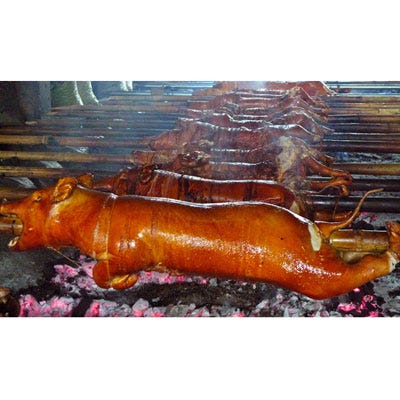 Philippines: Roast Pig <p>In the Philippines, a whole roasted pig is often the centerpiece of a fantastically elaborate Christmas meal. The Philippines are known around the world for Christmas festivities that are pretty much unmatched anywhere else. The season officially starts on December 16th, when daily dawn masses are held, continuing through Christmas Day on the 25th. The big holiday meal, served after mass on Christmas Eve, is full of delectable choices, and aside from a main pork dish, often includes other Filippino favorites like oxtail stew, <i>queso de bolo</i> (a kind of cheese), and flan.</p>
<p><b>Recipe: <a href="/recipefinder/coffee-cured-pulled-pork-recipe-fw0712">Coffee-Cured Pulled Pork</a></b></p><p><b>Recipe: <a href="/recipefinder/cumin-roast-pork-dried-fruit-recipe-122324">Cumin Roast Pork with Dried Fruit</a></b></p>