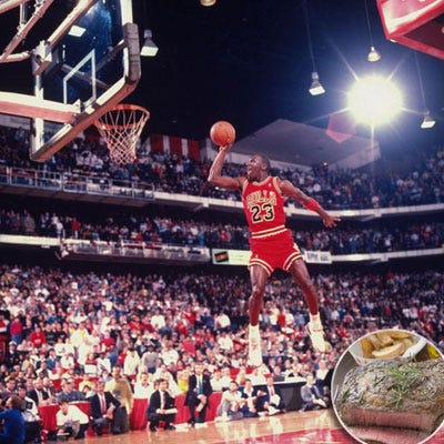 Michael Jordan: Steak and Potatoes