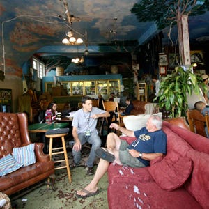 Human, Room, Living room, Furniture, Couch, Ceiling, Comfort, Houseplant, Light fixture, Flowerpot, 