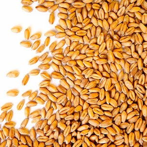 Believe it or not, wheat berries — and almost all cereal grains — are technically fruits. Although we think of a fruit as the juicy bits that surround a pit, a fruit is technically the ripened ovary of a plant, says Mark Scarbrough, who devotes a whole section to wheat berries in his book, <i>Grain Mains</i>. A berry is one type of fruit: a fleshy one produced from a single ovary and containing a seed or many seeds, he says. So avocados, bananas, watermelons, blueberries and tomatoes are all berries; raspberries and blackberries are technically not because they come from multiple ovaries from a single flower. A wheat berry, Scarbrough says, gets its name because it forms like a berry, but then diverges because the ovary hardens into the hull. 

Read more: Food Facts - Food Mysteries Solved
