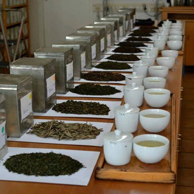 <p>Driven by the desire to "create tea (<i>chaa</i>) that tastes yum," this quirky London-based purveyor and tea salon sticks firmly to the no-bag policy and only curates quality, loose-leaf varieties. Yumchaa's specialty handcrafted blends incorporate Old World romance with New World flavors, such as the zesty Chai Red, aromatic Raspberry Vanilla or spicy Chilli Chilli Bang Bang. <a href="http://www.yumchaa.com/" target="_blank">yumchaa.com</a></p>