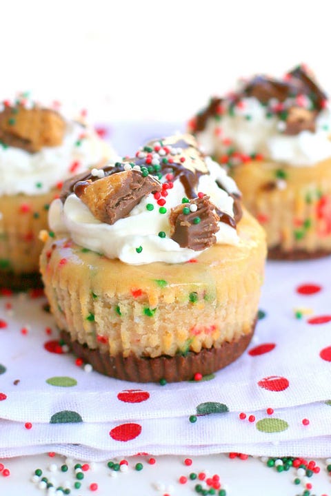 20+ Christmas Cheesecake Recipes - Festive Holiday Cheesecakes—Delish.com