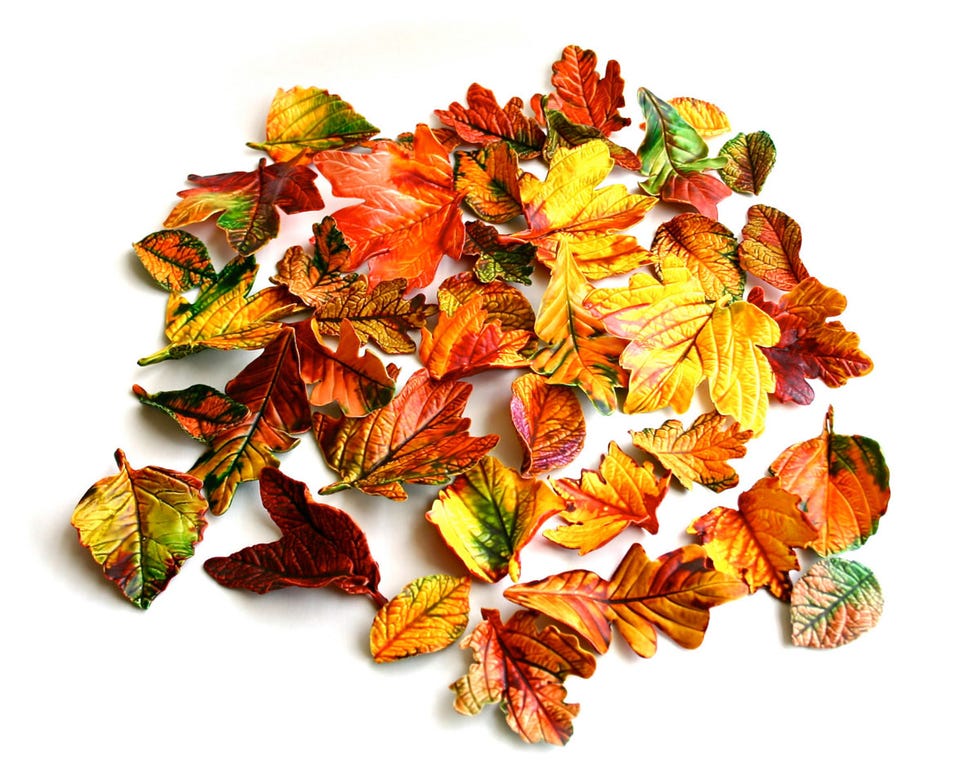 Candy Leaves