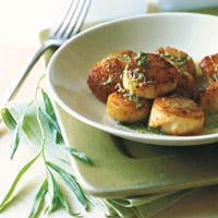 Scallops with Tarragon Butter Sauce