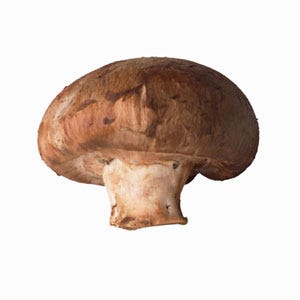 Risotto with Mushrooms