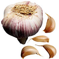 Garlic Toast