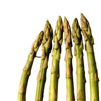 Asparagus in Mustard Sauce image