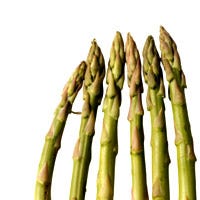 Asparagus in Mustard Sauce