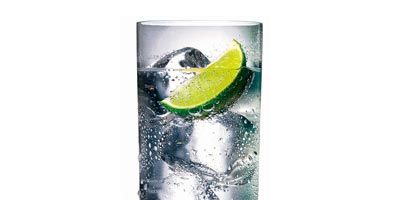 Tanqueray and Tonic Recipe