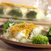 Fish becomes a family favorite in this tasty baked dish featuring layers of broccoli, fish and a creamy cheese sauce.