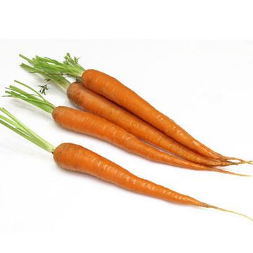 <p>After organ meats, which have as much as 9,000 mg of vitamin A, the reliable carrot is the No. 1 source of this essential nutrient. And its vitamin A comes in the form of beta carotene, the much-celebrated antioxidant. A three-quarter cup of carrot juice has 1,692 mg of the nutrient and 71 calories. Half a cup of cooked carrots has 671 mg of vitamin A and just 27 calories.</p><br /><b>Recipes:<br /><a href="/recipefinder/glazed-carrots-cardamom-ginger-recipe" target="_blank">Glazed Carrots with Cardamom and Ginger</a><br /><a href="/recipefinder/spicy-curried-carrot-soup-661" target="_blank">Spicy Curried Carrot Soup</a></b>
