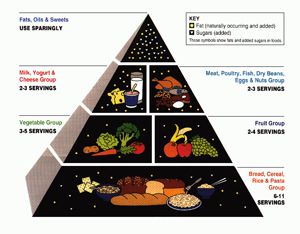 Usda deals food pyramid