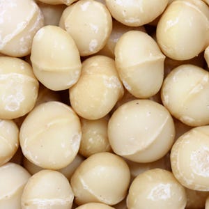 <p><b>$30-$40 per kilo (2.2 lbs).</b></p><br /><p>The Macadamia Nut's expensiveness stems from its many purposes. Not only is it buttery and delicious, but its high oil content is useful in cosmetics, especially in skin care products. It takes a Macadamia tree 7 to 10 years to produce nuts, and the nuts must be cracked before sold. Their shells are so tough, they would break your personal nutcracker.</p>