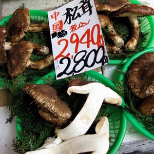 <p><b>$1,000 per pound.</b></p><br /><p>Matsutake Mushrooms weren't always so ridiculously expensive. In fact, they were once quite reasonably priced. But now, In Japan and Okinawa, they're facing extinction. Due to an increase in nematodes, which kill the trees these mushrooms grow under, the amount harvested has been cut in half. Still, these mushrooms look particularly regal, as far as mushrooms go, with dark brown, scaled, and bell-shaped caps, and massive stems the size of sugar cane stalks. They have a strong, spicy flavor and scent paired with a meaty texture.</p><br /><p>If you're not willing to shell out for this Japanese variety of the matsutake, don't fret. You can find a more frugal variation of the mushroom growing along the Washington coast and sold in Canada, Oregon, Idaho, and Northern California.</p>