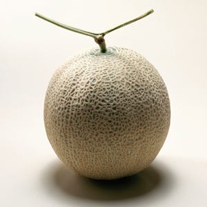 <p>We'll eat half a garden-variety cantaloupe in one sitting without thinking twice. Not so with the Yubari King cantaloupe, a prized Japanese melon that commands between $5,200 and $20,000 per 8-pound pair. These orange-fleshed orbs are grown only in the city of Yubari (much like true Champagne, which must come from the Champagne province of France) and are valued for their exquisite proportions and flavor. In 2010, the first two Yubari melons were auctioned for $16,000 total, bouncing back from a disappointing purchase price of $5,200 in 2009.</p>