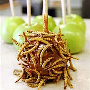 <p><b>Phoenix, Oct. 14-Nov. 6, 2011</b></p><br />

<p>Along with deep-fried crickets, the Arizona Exposition & State Fair's Chef du' Jour booth sells caramel apples dipped in mealworms.</p>